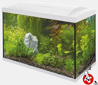 SUPERFISH START 70 TROPICKÁ SÚPRAVA BIELA