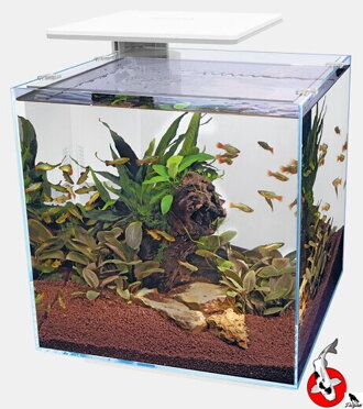 SUPERFISH QUBIQ 60 PRO Biele