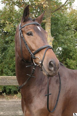 Bridle Bronze, čierna polstrovaná uzda