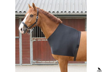Lycra chest