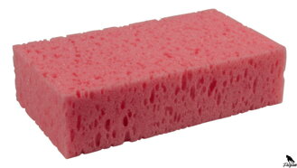 Špongia