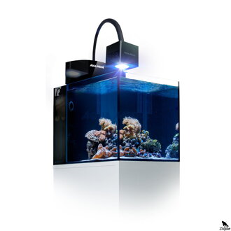 AquaMedic Blenny Qube 76L