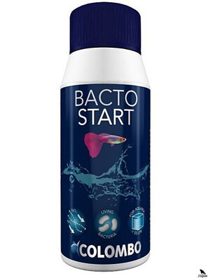 COLOMBO BACTO START 100ML (100L)