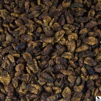  Larvy priadky morušovej 1L