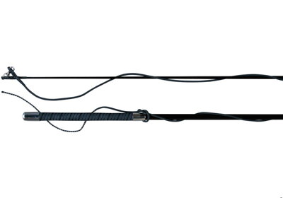 Lunge whip carbon