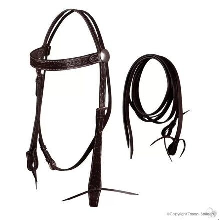 Western Embroidered Bridle