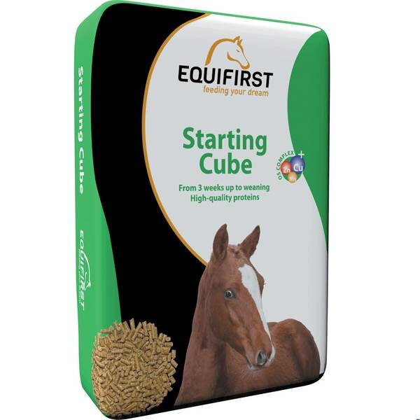 EquiFirst Starting cube 20kg
