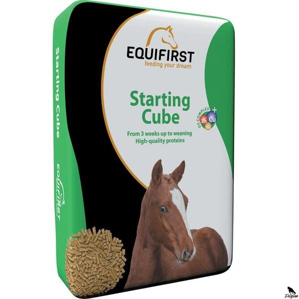 EquiFirst Starting cube 20kg EquiFirst Starting cube 20kg