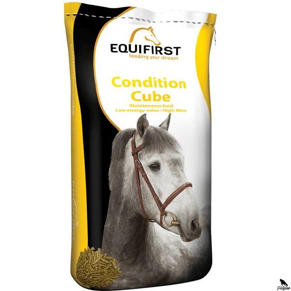 EquiFirst condition cube 20kg