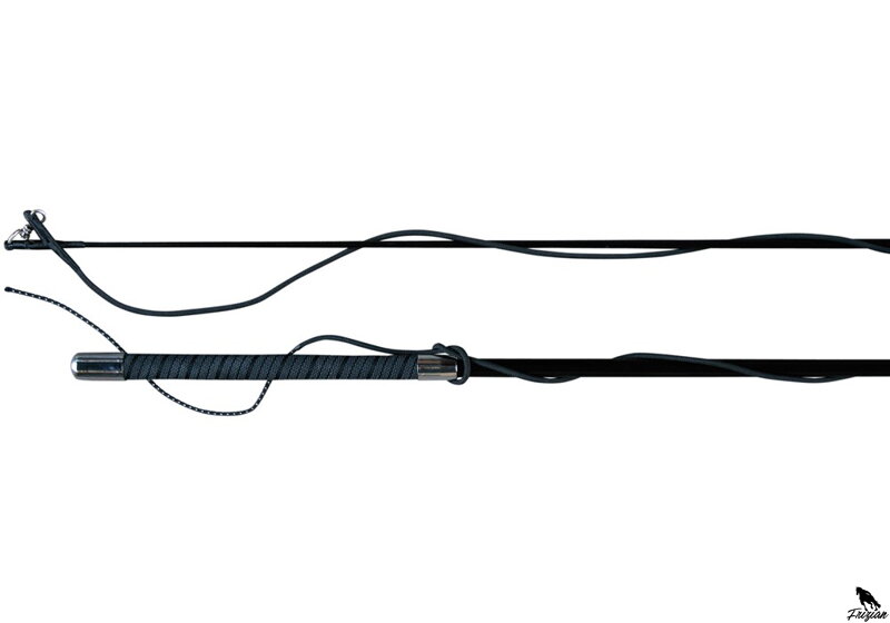 Lunge whip carbon Lunge whip carbon