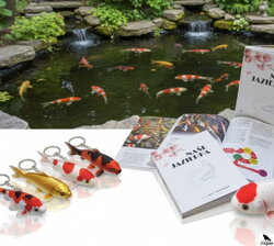 Suveníry a darčeky