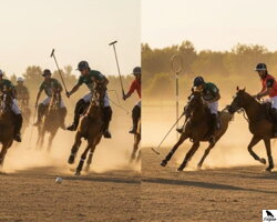 Polo a Horseball jazdenie | Sedlá, uzdy a jazdecké doplnky online