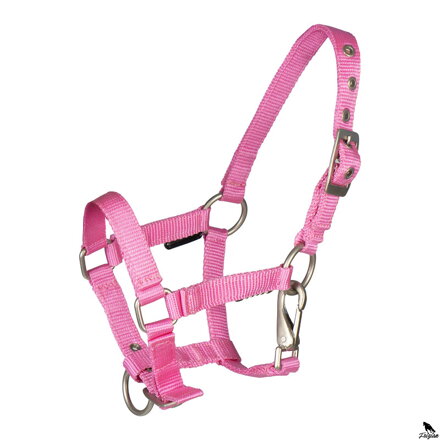 FOAL HALTER  