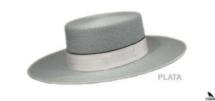 OLIVER HATS WIDE-BRIMMED' strieborný