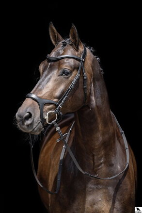 Bridle -Anatomic Sports- čierna