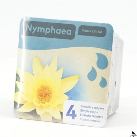 Nymphea dry blister Yellow H