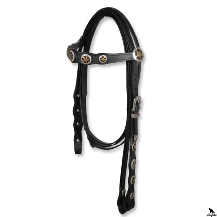 Bridle with Star Conchos čierna