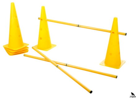 Pylonový prekážkový set Agility