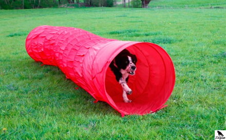 Agility tunel pre psov