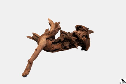 Mangrove wood S