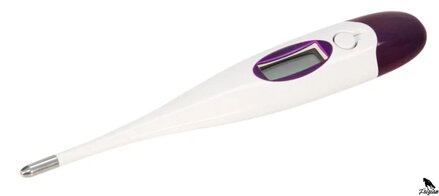 Digitálny klinický teplomer