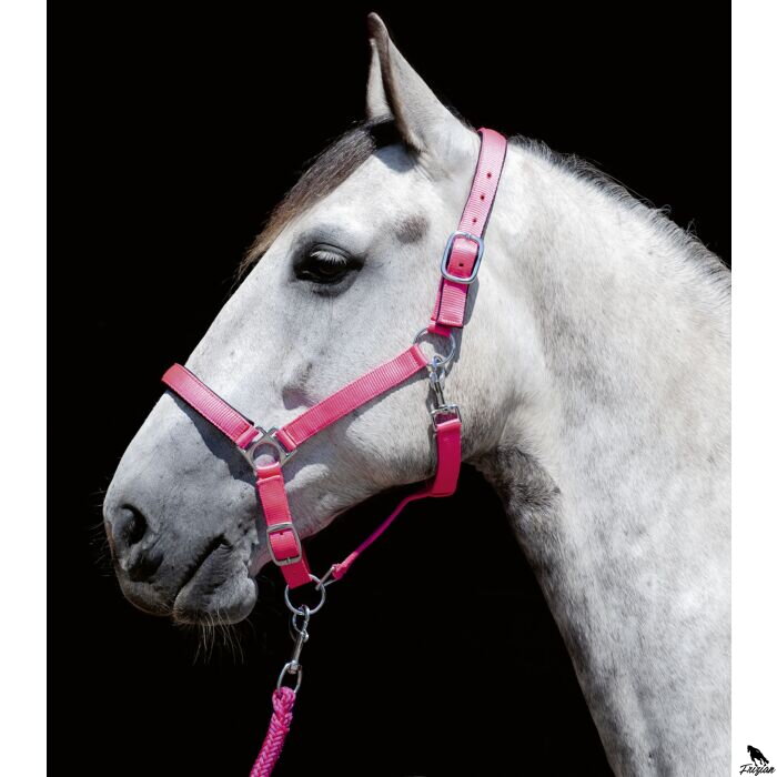 Head collar -Stars Softice- with soft padding
