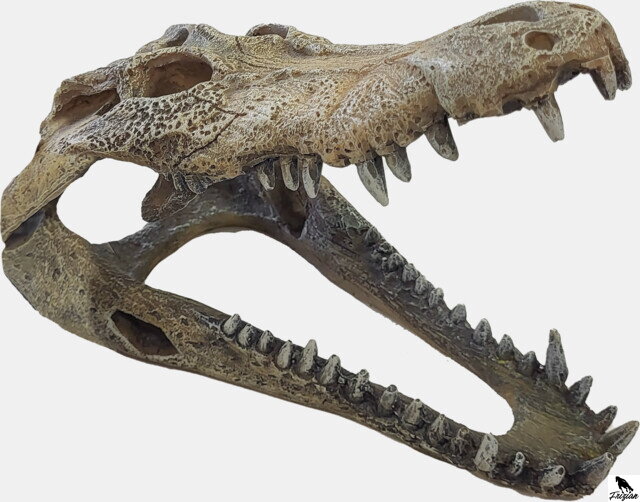 REPTO DECO CROCODILE L 18x 27x 12cm