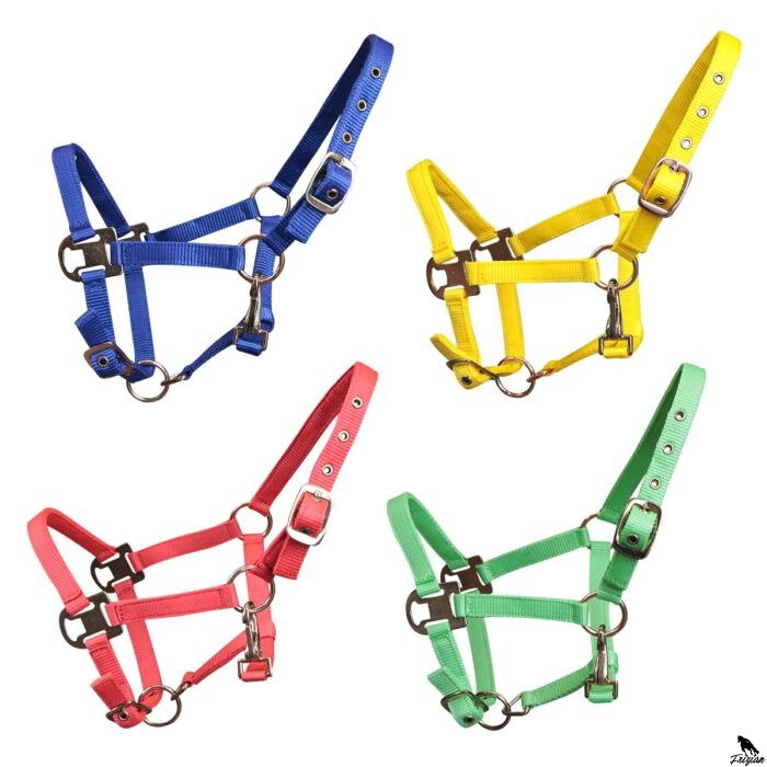 Horses Petite SHETLAND