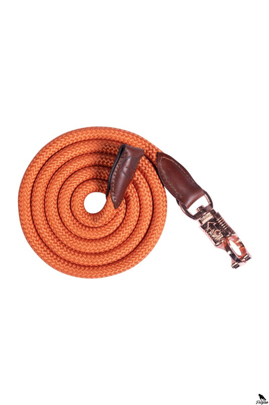 Lead rope -Edinburgh- Lead rope -Edinburgh-