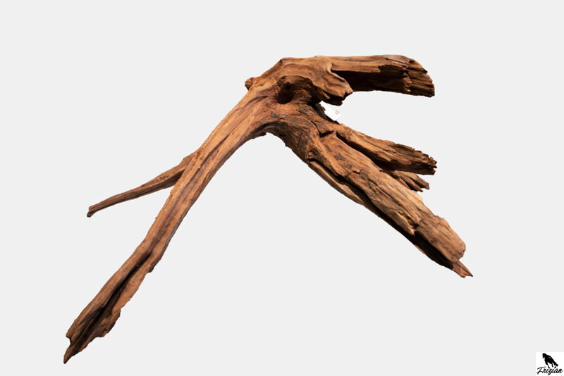 Mangrove wood L Mangrove wood L