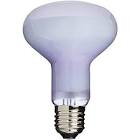 Bodové výhrevné svetlo pre plazy 150w Bodové výhrevné svetlo pre plazy 150w