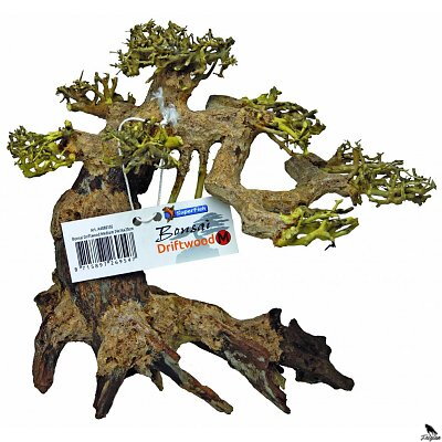 BONSAI DRIFTWOOD MEDIUM BONSAI DRIFTWOOD MEDIUM