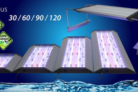 LED z Aqua Medic najlepšie dlhodobé svetlá