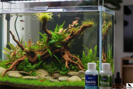 Štartovacie baktérie do akvária